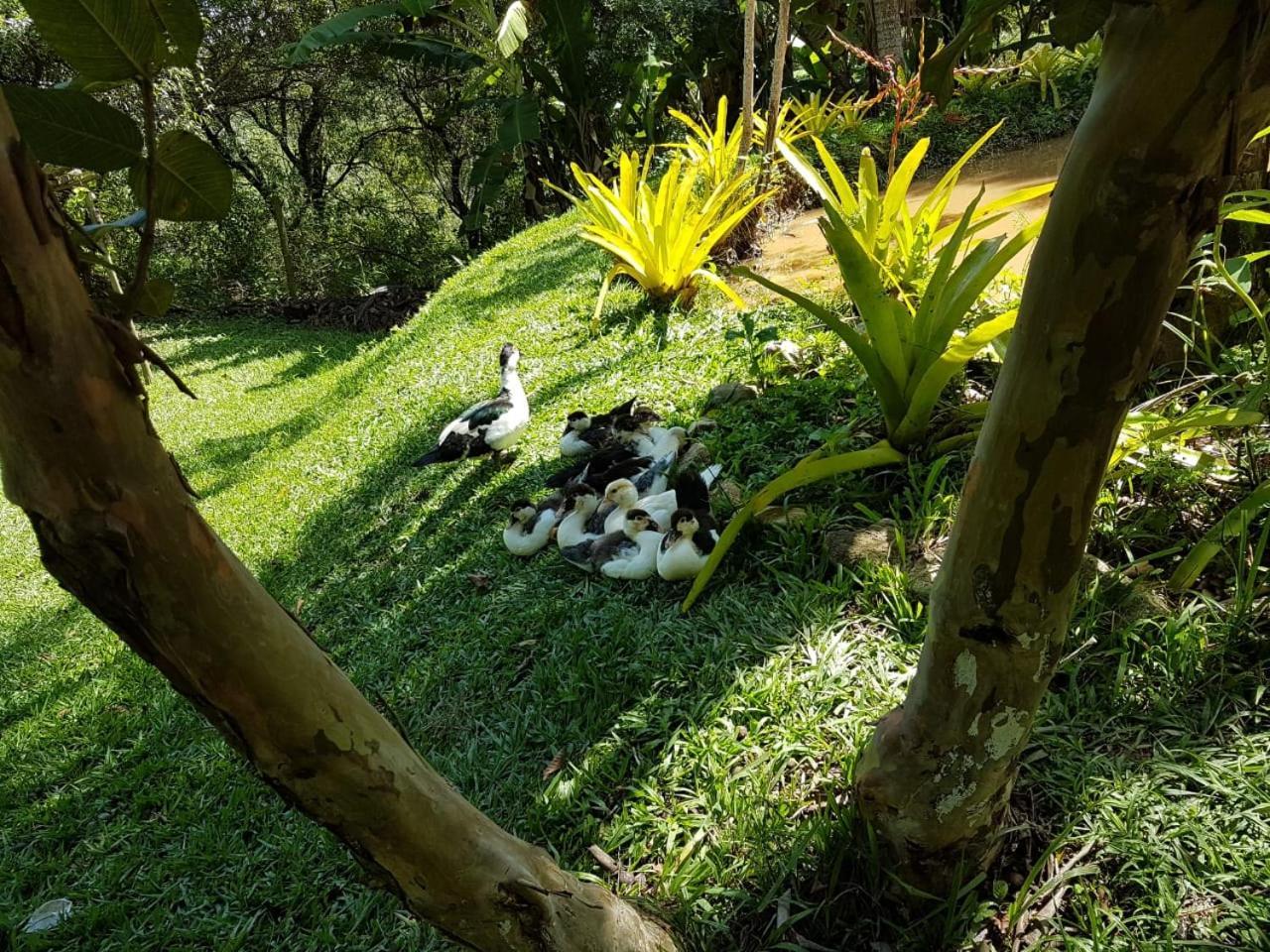 Pousada Rancho Flores Caeté Exterior foto